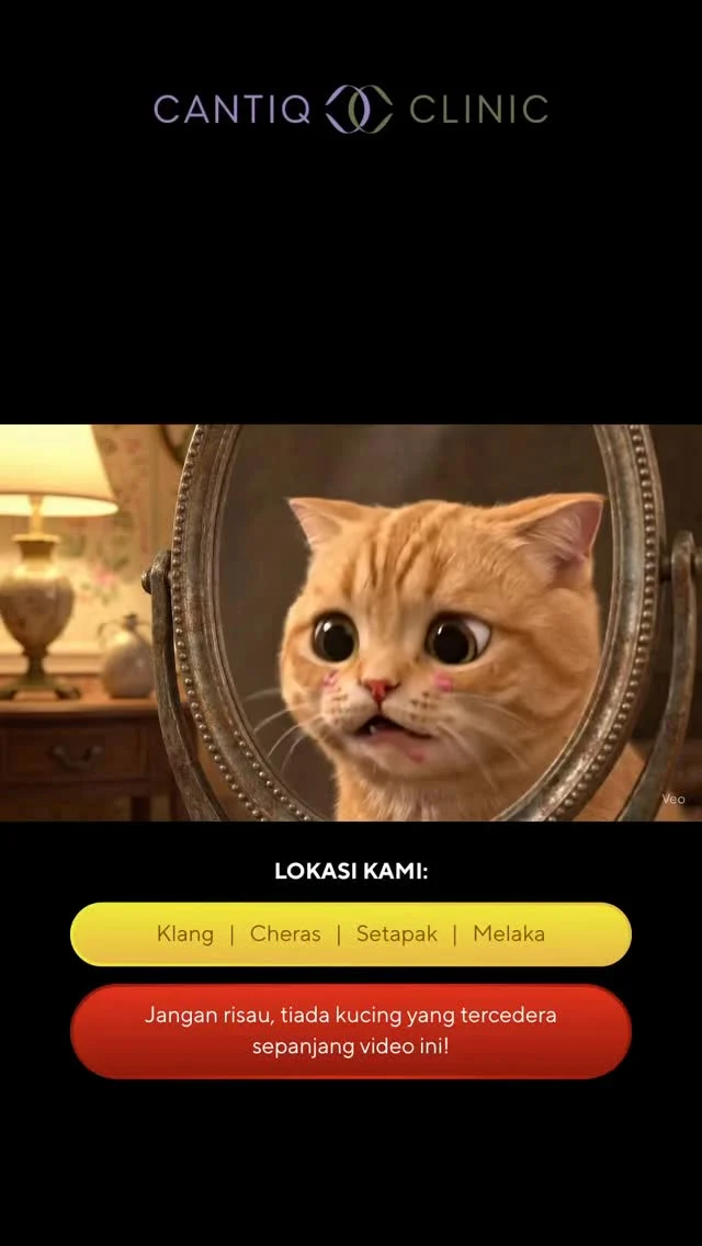 Dulu Oyen malu sebab jerawat... 🐾 Sekarang kulit flawless tak payah filter lagi! 📸 Terima kasih CANTIQ Clinic, Oyen dah berani tunjuk muka.

Sekarang Oyen nak ajak semua datang rawat muka kat CANTIQ! 😸
Kita jumpa di cawangan:
📍 CANTIQ Clinic Klang (+6012-3099366 )
📍 CANTIQ Clinic Cheras (+6011-69411227 )
📍 CANTIQ Clinic Setapak (+6012-5689366 )
📍 CANTIQ Clinic Melaka (+6012-8619366 )

Jom la singgah, mana tahu lepas ni korang pun #GlowMacamOyen 💛